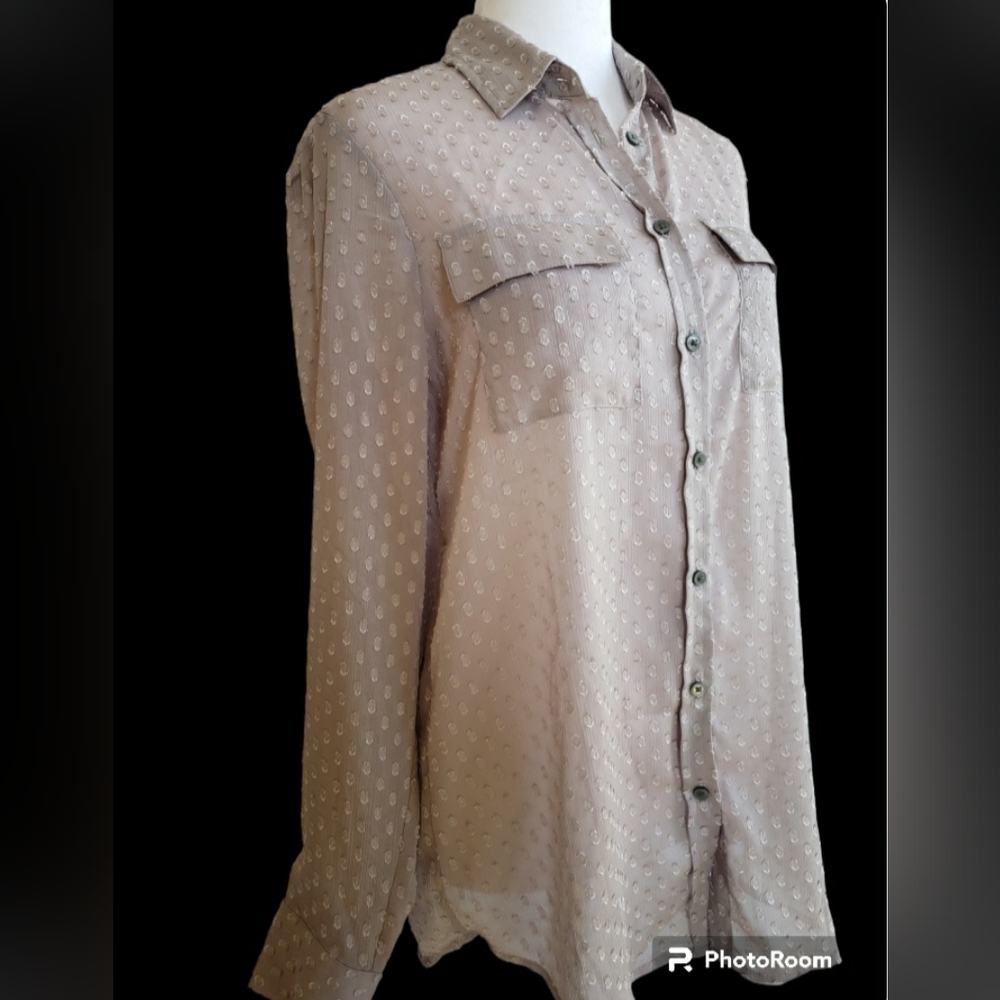 Banana Republic Sheer Button Down Woman's Blouse